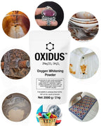 Oxydus