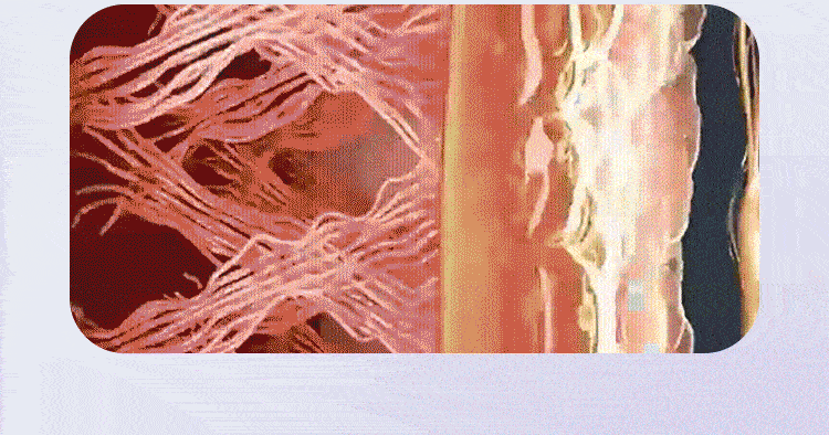 How Deep Vibration Works